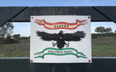 Giorno n. 120 - L'avvoltoio non sa... - Parco naturale delle Querce da Sughero "Los Alcornocales