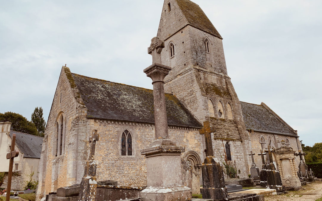 Day No. 6 - A tree, like a church - Notre-Dame de Bayeux