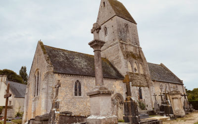 Dag 6 - Een boom als een kerk - Notre-Dame de Bayeux