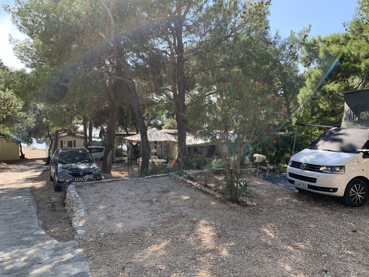 Radiator of our white VW California in front of the pine trees of Camping Village Šimuni