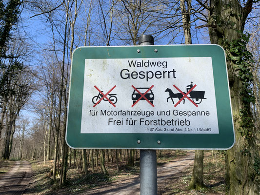 Beispiel deutscher Bürokratie: Hinweisschild Waldweg gesperrt
