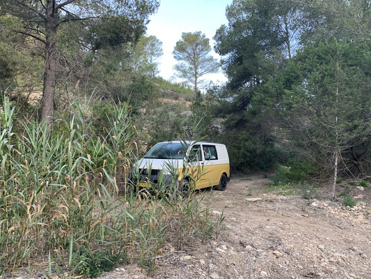Tweekleurige VW-camper in wit en goud op Ibiza