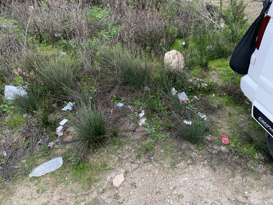 Beach CleanUp - Camper Cleanup Campaign - Vorher Bild voller Müll