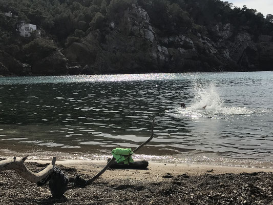 Marc swimming in the still cold sea, ibiza