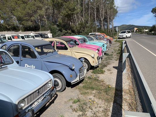 Entensammlung Citroen, von Ducks United