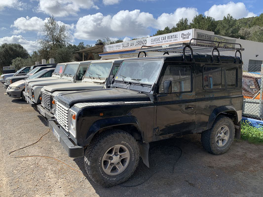 Several Land Rover Defenders, at Ducks United