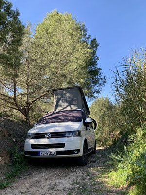 The planBwagen, VW California, is parked in a dry riverbed.