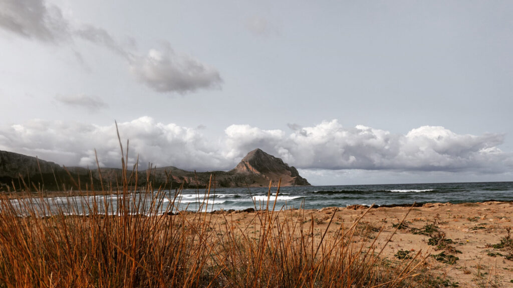 Grasses in front of the sea in Macari, the mountains in the background