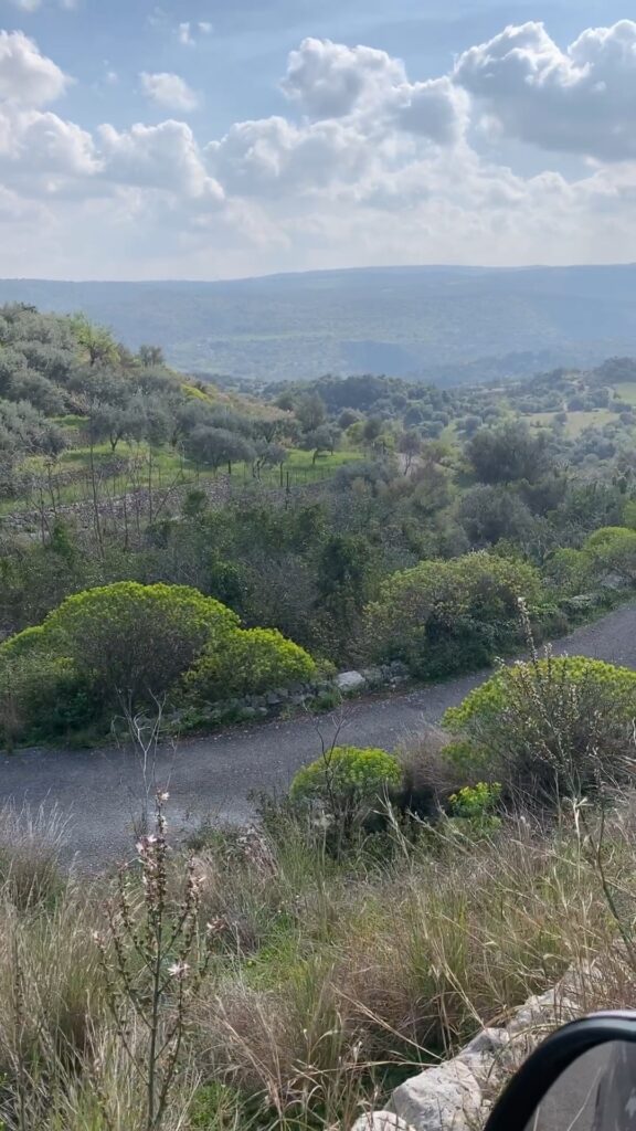 Serpentinenweg durch Orangenhaine auf Sizilien