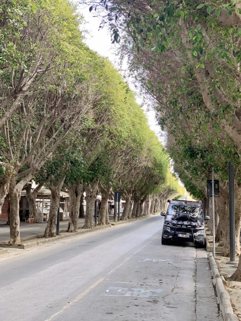 PlanBwagen parked on the avenue in front of the Porta Reale o Ferdinandea in Noto