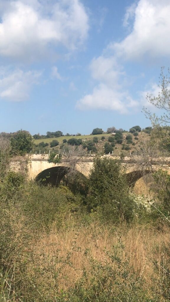 alte bewachsene Steinbrücke auf Sizilien