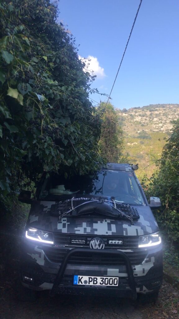 PlanBwagen under low-hanging branches