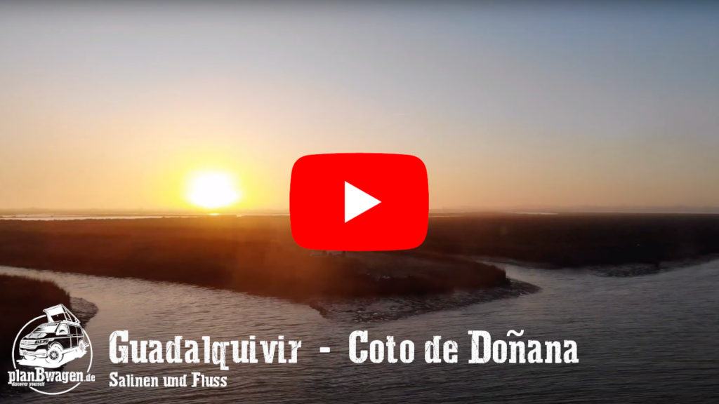 Guadalquivir - Salt pans and river - At the Coto de Doñana National Park 2020 - Near Cádiz, Spain