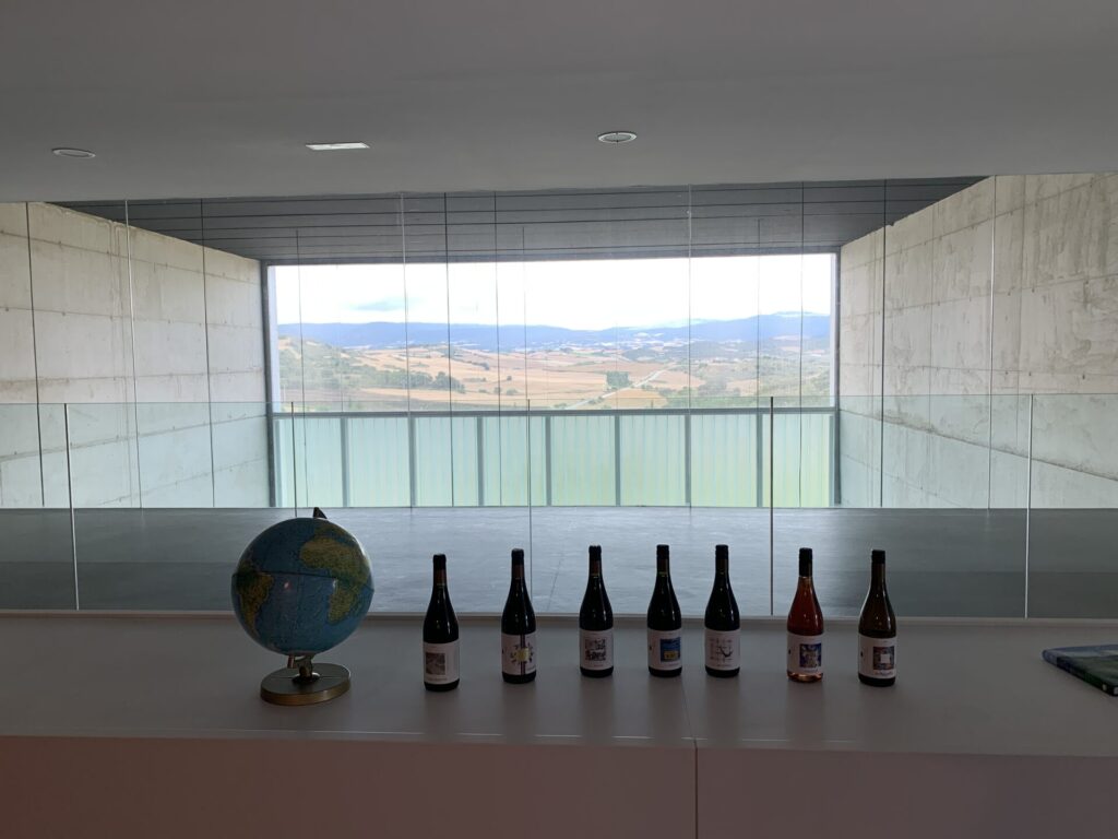 Bodega Tandem in de Navarra-showroom